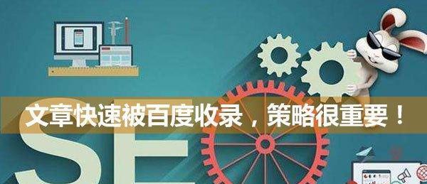 新站SEO优化之和内链设置