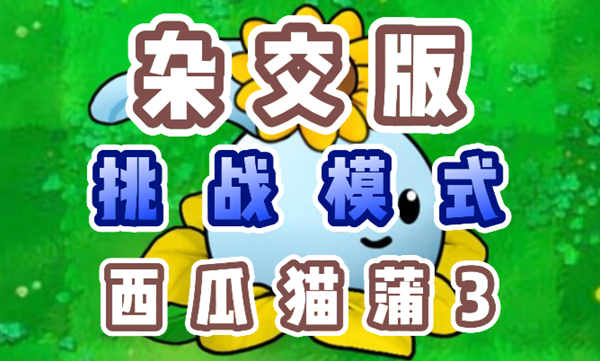 植物大战僵尸杂交版西瓜猫蒲3怎么过