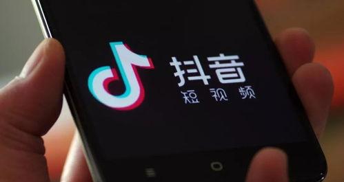 翔安seo有哪些关键