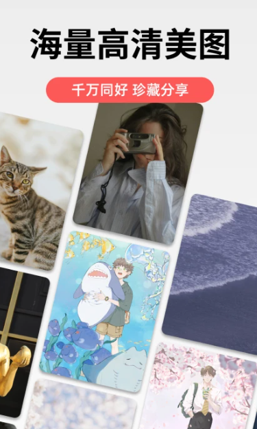堆糖 v8.50.0
