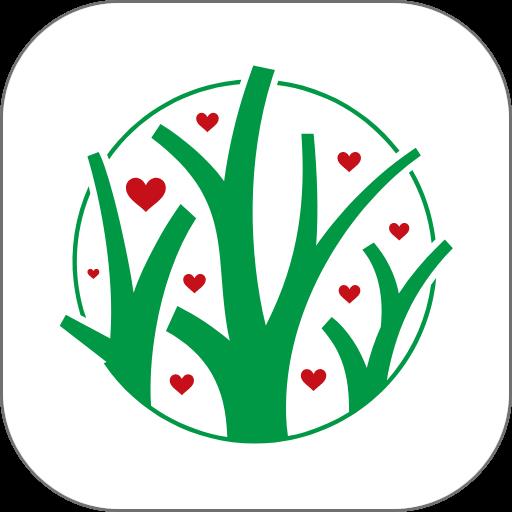 红杏林中医培训