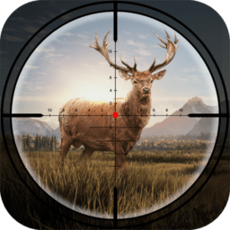 疯狂神射手打猎