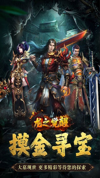 龙之觉醒游戏 v1.0.0 安卓版 4